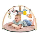 Tapis arche bois, Ludi