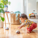 Pull-backs bébé, Tiger Tribe