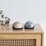 Pull-backs bébé, Tiger Tribe