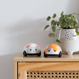 Pull-backs bébé, Tiger Tribe