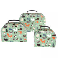 Valise en carton Chat, Rex London