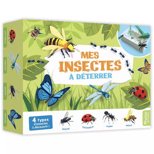 Mes insectes à déterrer, Auzou