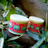 Bongo, Djeco