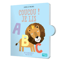 Livre à tiroirs, Sassi junior