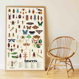 Poster de stickers Insectes, Poppik