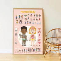 Poster de stickers Corps Humain, Poppik