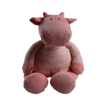 Peluche Lola Bio, Noukies